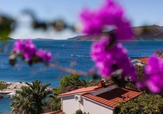 Apartament Astramaris
